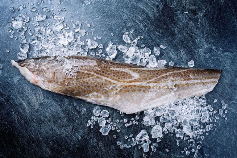 Frisches Kabeljaufilet mit Haut 500g